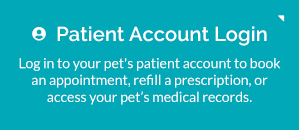 Patient Account Login