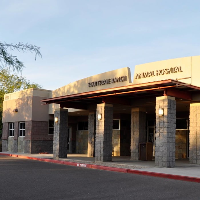 Scottsdale Ranch Animal Hospital in Scottsdale